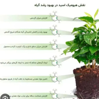 کود هیومیک اسید (اصلاح خاک گلدان و باغچه) بسته آشا تجارت