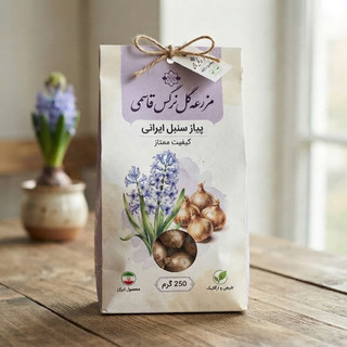 پیاز گل سنبل ایرانی معطر (سایز متوسط) بسته 250 گرمی